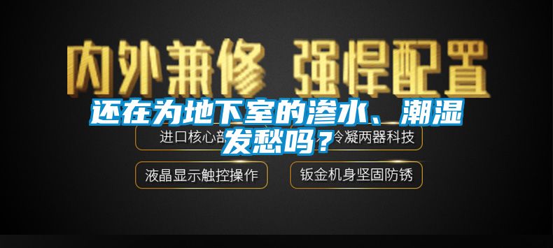 还在为地下室的渗水、潮湿发愁吗？