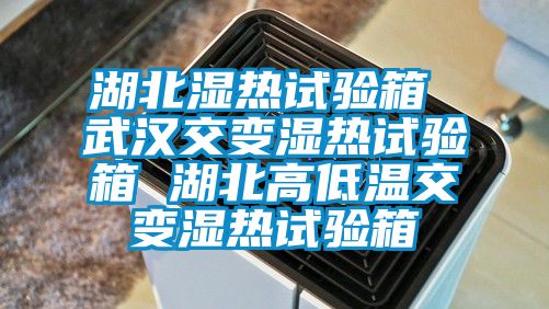 湖北湿热试验箱 武汉交变湿热试验箱 湖北高低温交变湿热试验箱