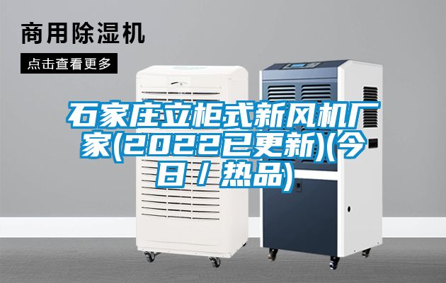 石家庄立柜式新风机厂家(2022已更新)(今日／热品)