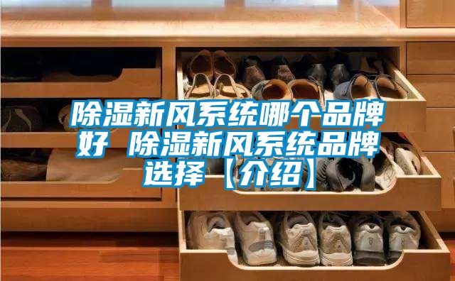 除湿新风系统哪个品牌好 除湿新风系统品牌选择【介绍】