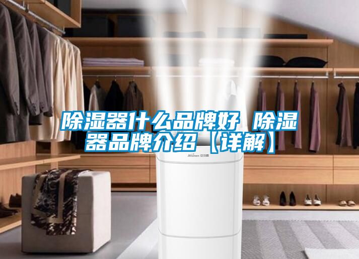 除湿器什么品牌好 除湿器品牌介绍【详解】