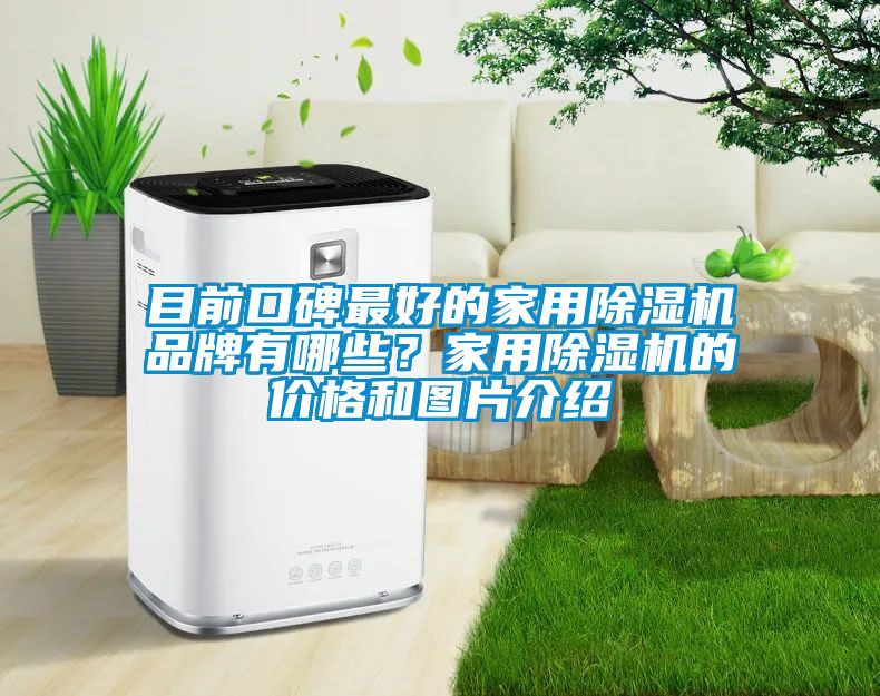 目前口碑最好的家用除湿机品牌有哪些？家用除湿机的价格和图片介绍