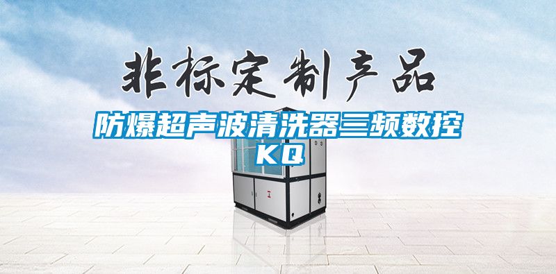 防爆超声波清洗器三频数控KQ