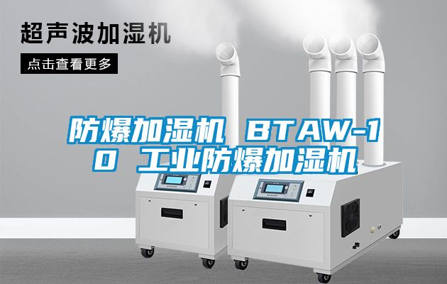 防爆加湿机 BTAW-10 工业防爆加湿机