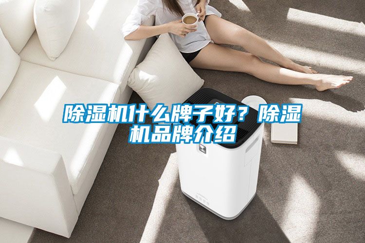 除湿机什么牌子好？除湿机品牌介绍