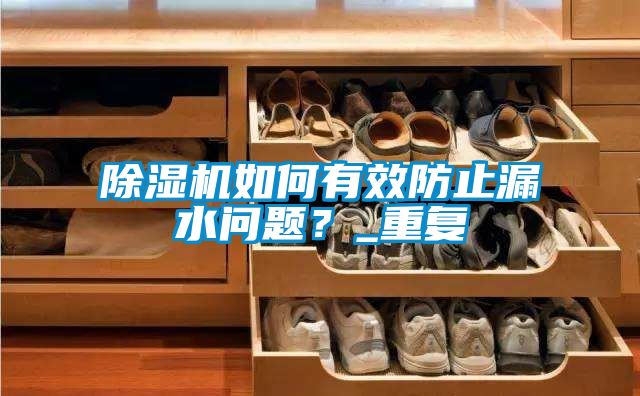 除湿机如何有效防止漏水问题？_重复