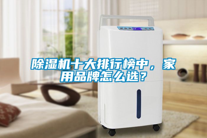 除湿机十大排行榜中，家用品牌怎么选？