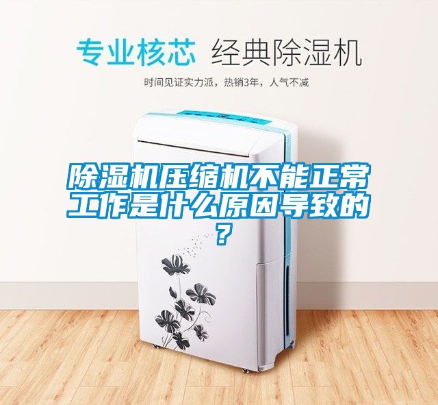 除湿机压缩机不能正常工作是什么原因导致的？