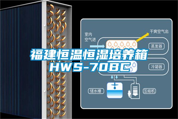 福建恒温恒湿培养箱HWS-70BC