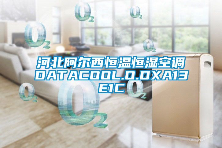 河北阿尔西恒温恒湿空调DATACOOL.O.DXA13E1C