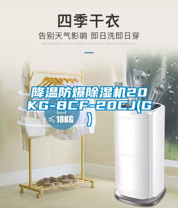 降温防爆除湿机20KG-BCF-20CJ(G)