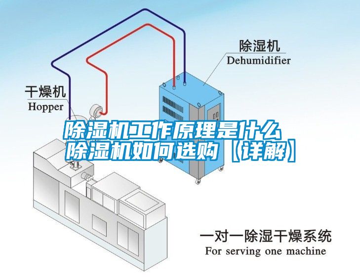 除湿机工作原理是什么 除湿机如何选购【详解】