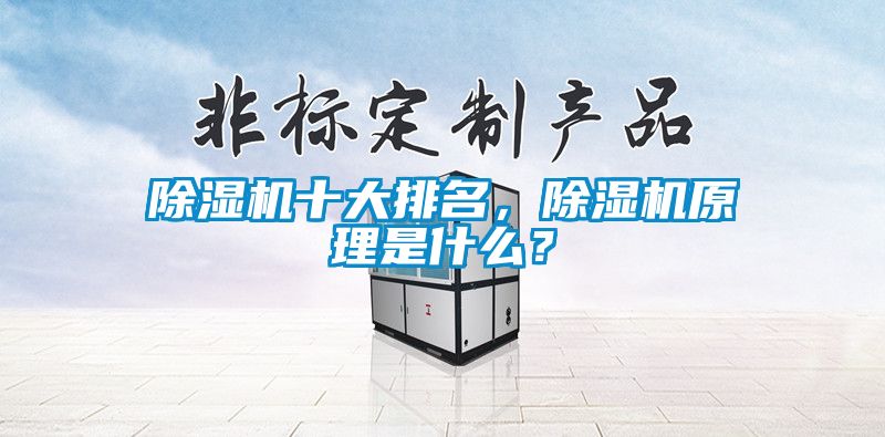 除湿机十大排名，除湿机原理是什么？