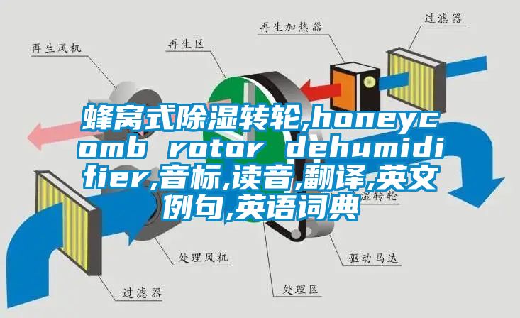 蜂窝式除湿转轮,honeycomb rotor dehumidifier,音标,读音,翻译,英文例句,英语词典