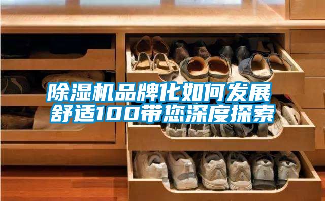 除湿机品牌化如何发展　　舒适100带您深度探索