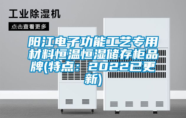 阳江电子功能工艺专用材料恒温恒湿储存柜品牌(特点：2022已更新)