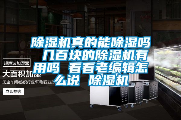 除湿机真的能除湿吗 几百块的除湿机有用吗 看看老编辑怎么说 除湿机