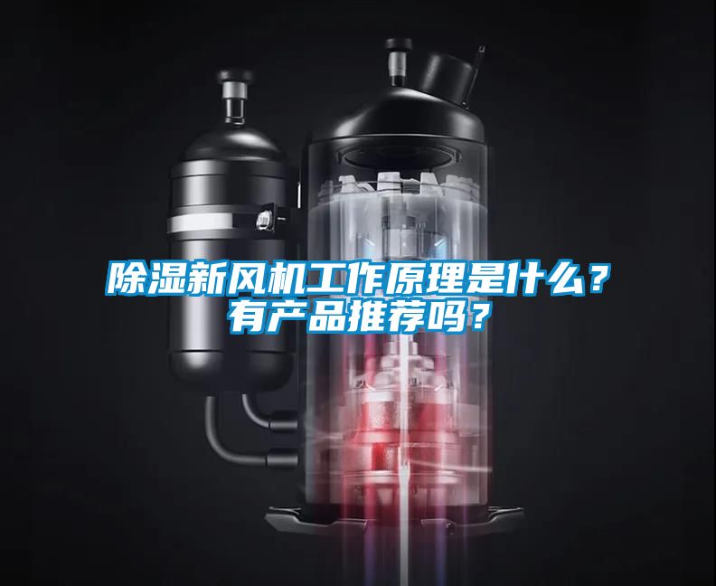 除湿新风机工作原理是什么？有产品推荐吗？