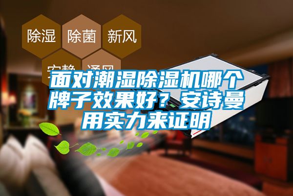 面对潮湿除湿机哪个牌子效果好？安诗曼用实力来证明