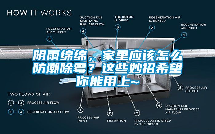 阴雨绵绵，家里应该怎么防潮除霉？这些妙招希望你能用上~