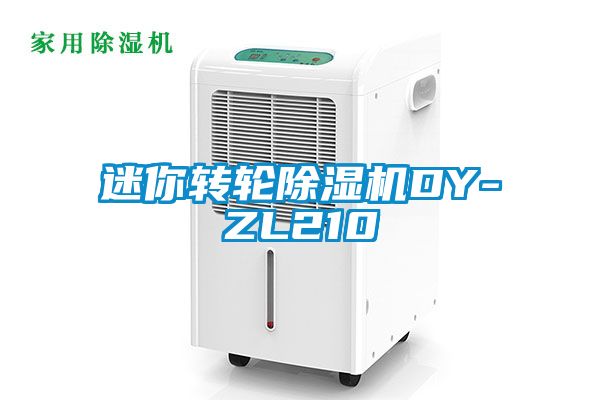 迷你转轮除湿机DY-ZL210