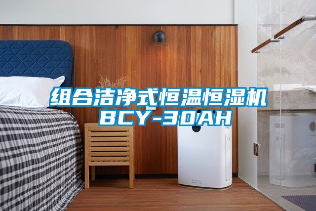 组合洁净式恒温恒湿机 BCY-30AH